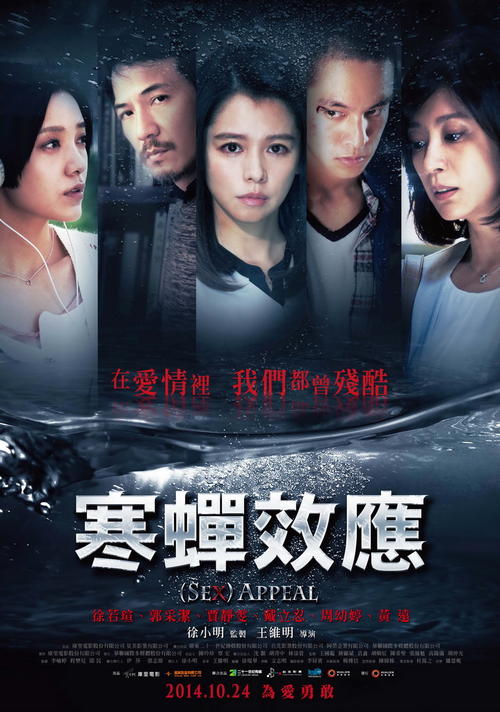 怎么买假的马尔代夫签证
